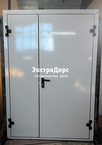 Противопожарная дверь EI 30 3 типа двупольная белая в Одинцово  купить