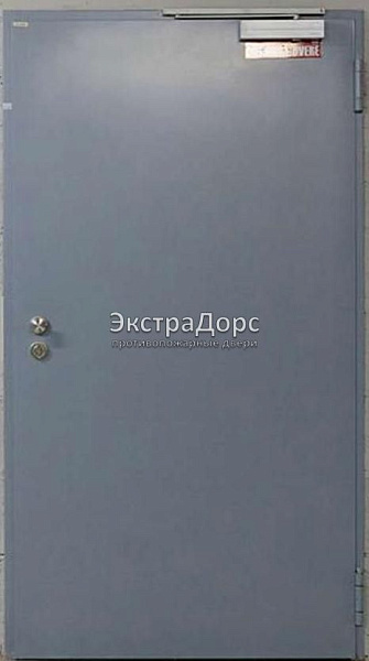 Противопожарная дверь однопольная дымогазонепроницаемая металлик в Одинцово  купить