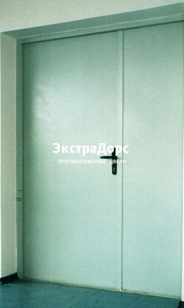 Противопожарная дверь двупольная белая без порога в Одинцово  купить