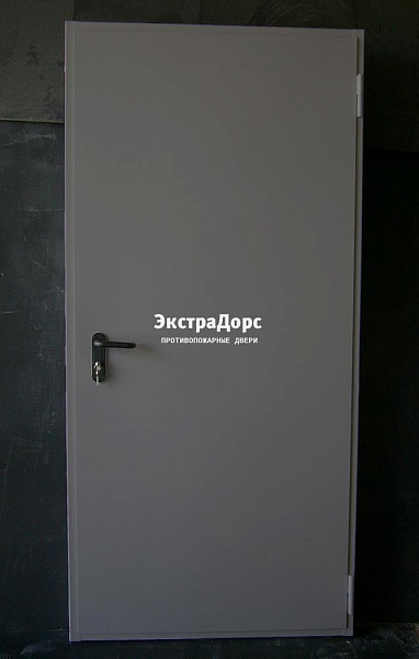 Дверь металлическая противопожарная EI 60 ДПМ 2 типа серая в Одинцово  купить